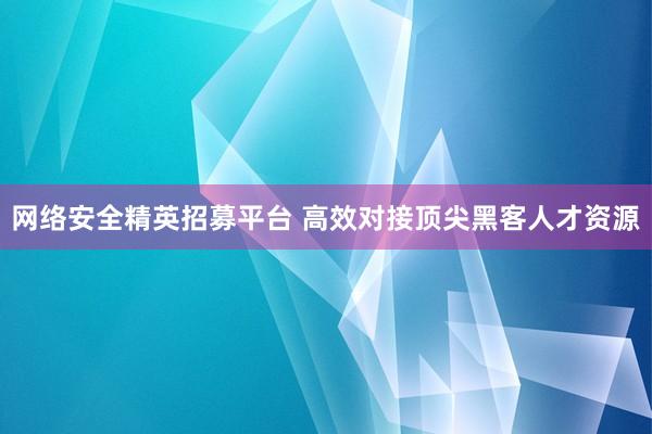 网络安全精英招募平台 高效对接顶尖黑客人才资源
