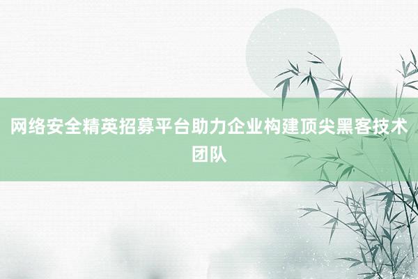 网络安全精英招募平台助力企业构建顶尖黑客技术团队
