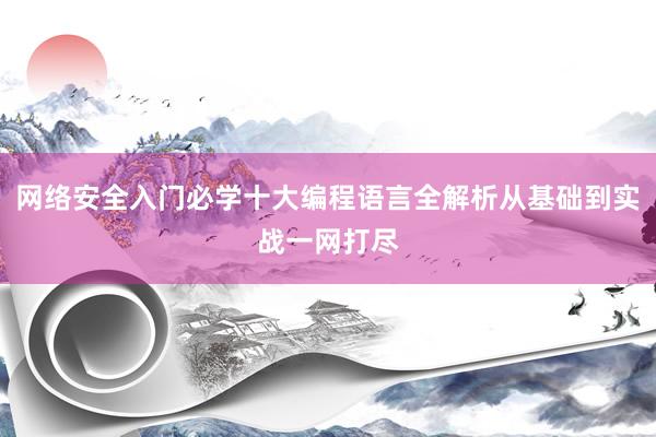 网络安全入门必学十大编程语言全解析从基础到实战一网打尽